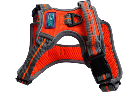  Hem & Boo Sports Harness Orange