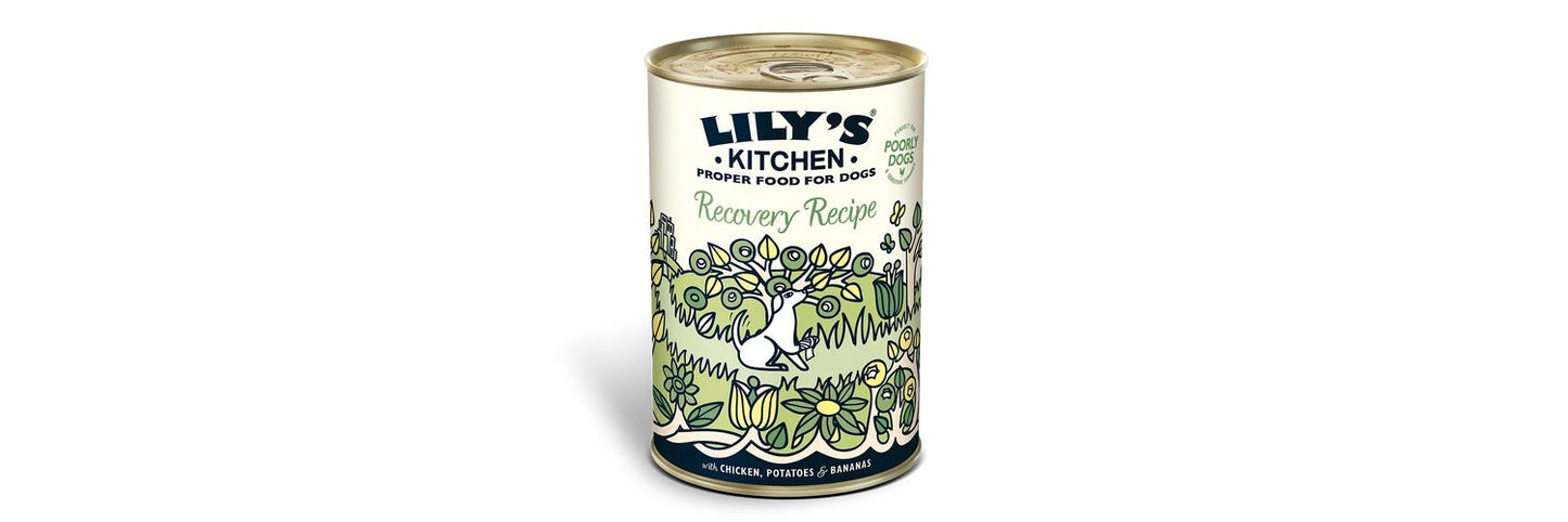  6 X Lily's Kitchen Dog Food Wet Can Recovery Recipe 400g