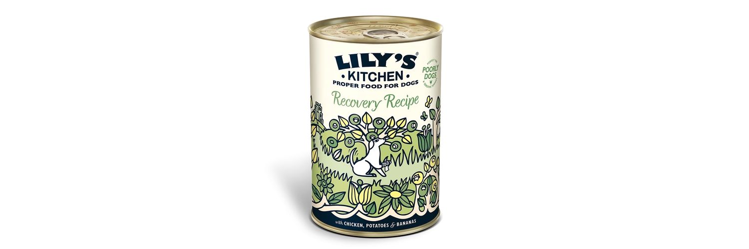 6 X Lily's Kitchen Dog Food Wet Can Recovery Recipe 400g