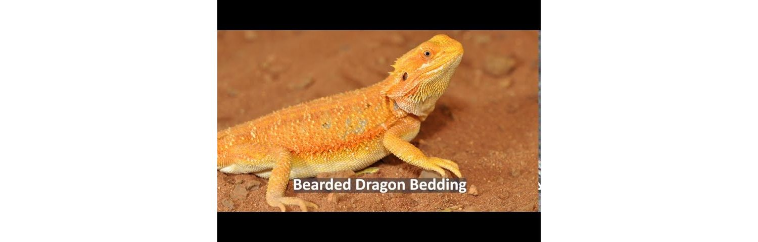  Habistat Leopard Gecko Bedding Substrate