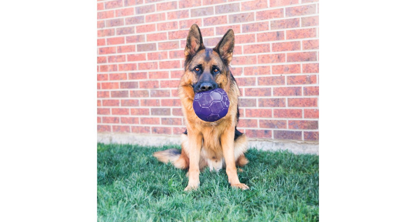  KONG Flexball Dog Toy Medium/Large