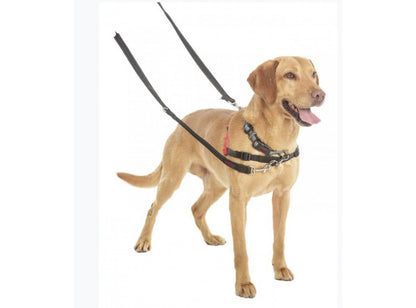  Halti Training Lead Black