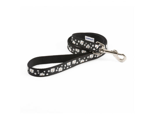  Ancol Fashion Nylon Lead Black Daisy 19mm X1m