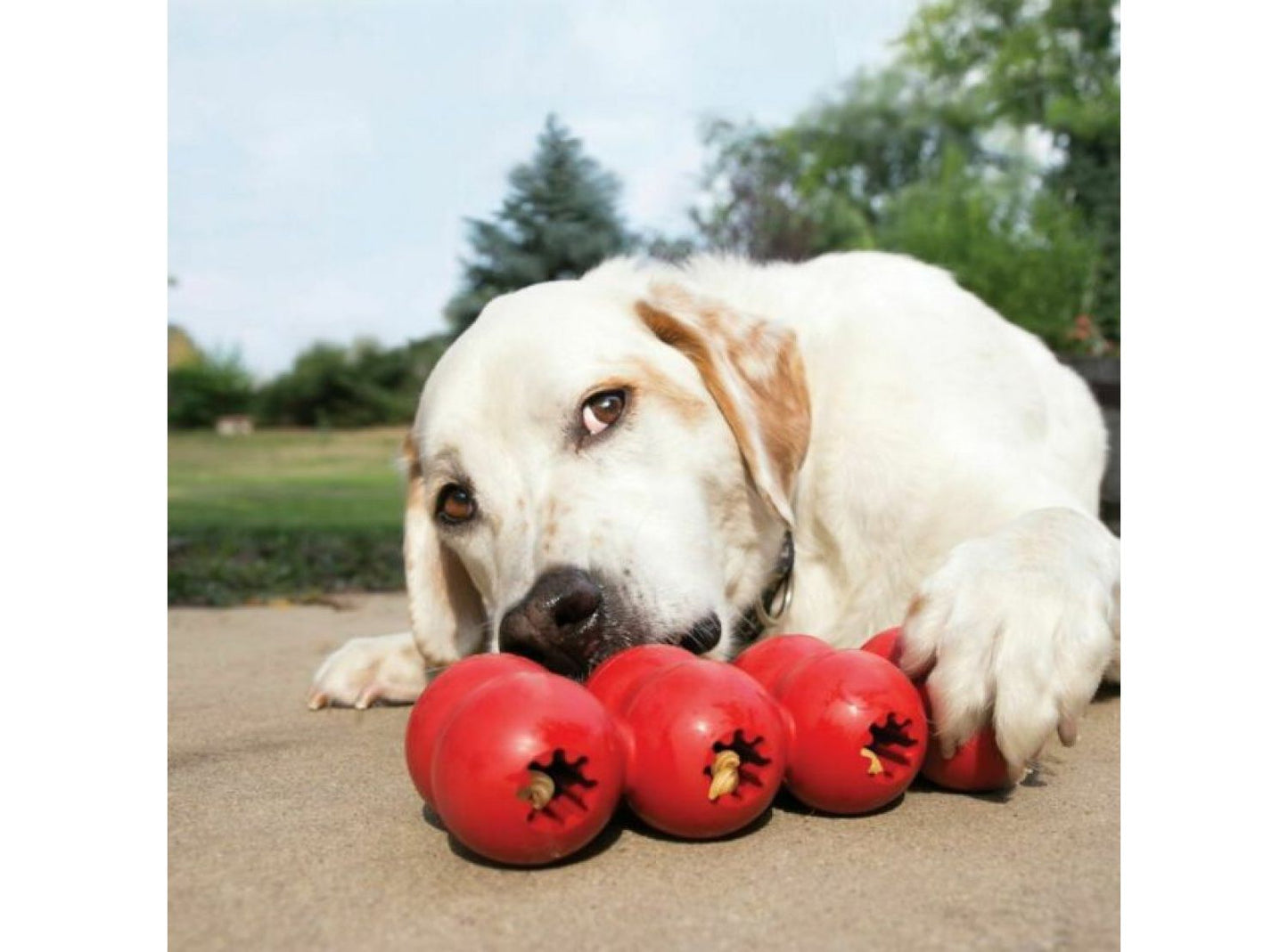  KONG Goodie Ribbon Dog Toy