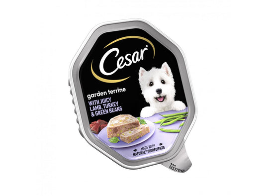 14 X Cesar Garden Terrine With Juicy Lamb Turkey & Green Beans In Loaf Dog Food 150g