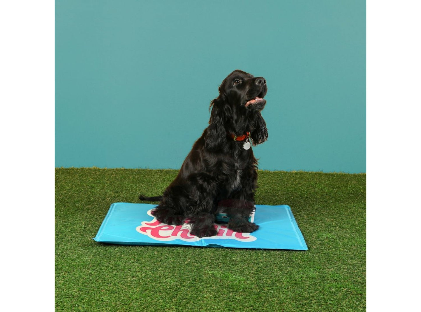  Just Chillin' Dog Cooling Mat