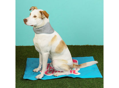  Just Chillin' Dog Cooling Mat
