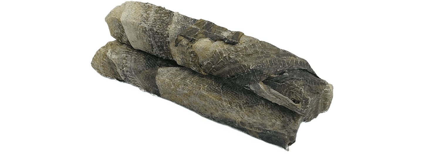  K9 Chew Co Fish Skin Throw Sticks