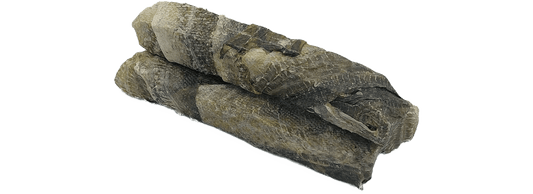  K9 Chew Co Fish Skin Throw Sticks