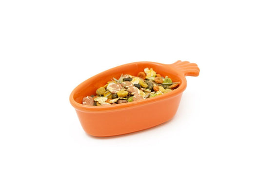  Great&Small Ceramic Carrot Pet Dish