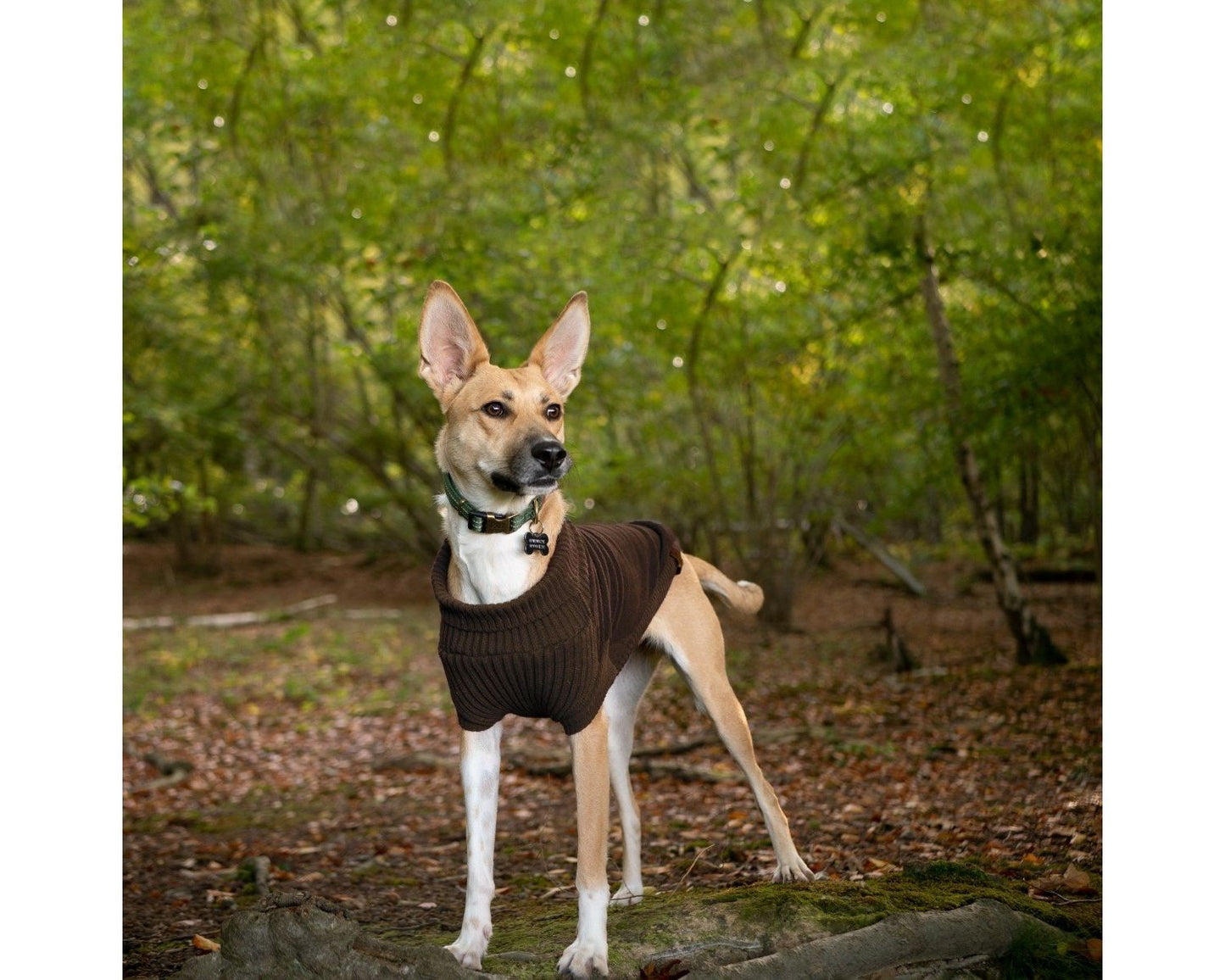  Great&Small Country Fleece Jumper Brown Dog Coat