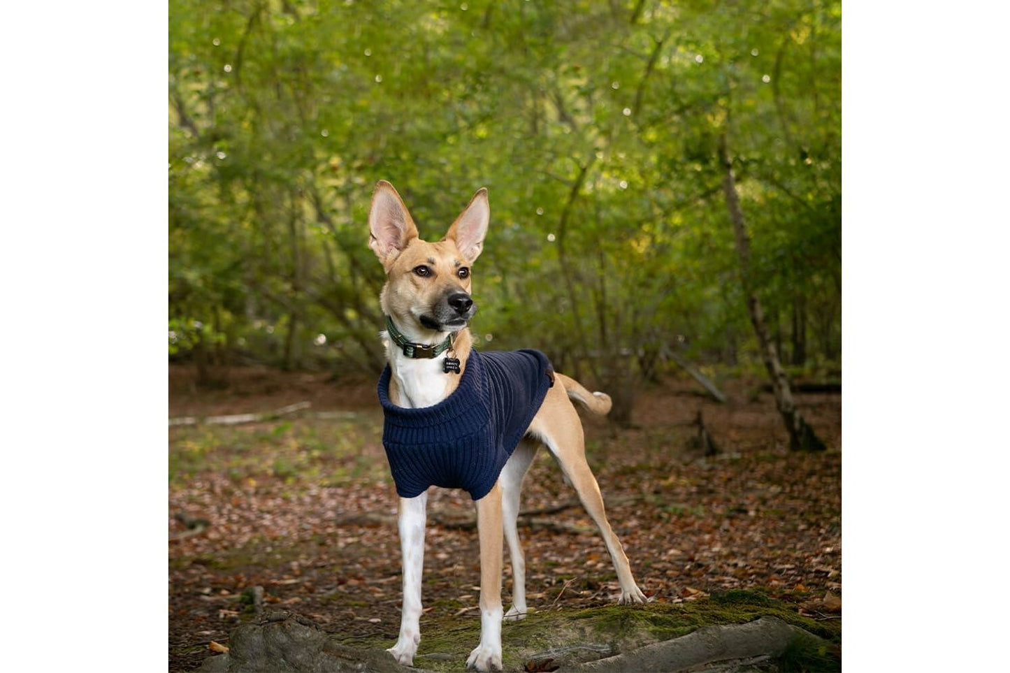  Great&Small Country Fleece Jumper Navy Dog Coat