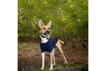  Great&Small Country Fleece Jumper Navy Dog Coat