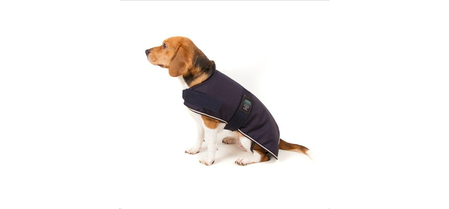  Great&Small Country Padded Blue Dog Jacket