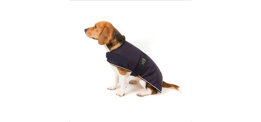  Great&Small Country Padded Blue Dog Jacket