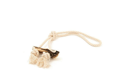  Great&Small Green Elk Antler Split & Rope Dog Toy