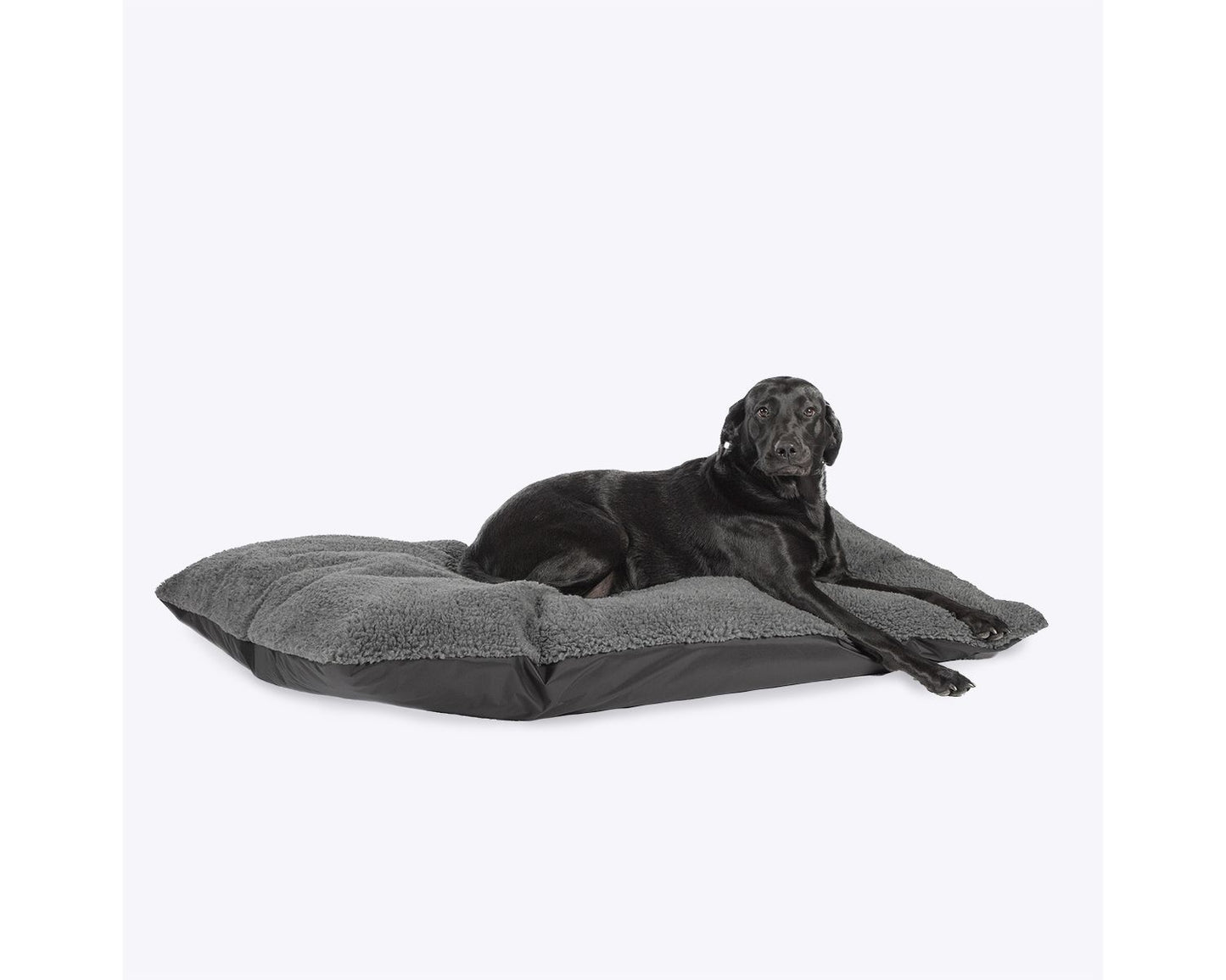 Danish Designs Happy Landings Deep Black Duvet Cover