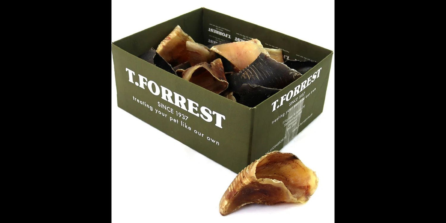  T Forrest Hollow Dried Hooves - 20 Pack