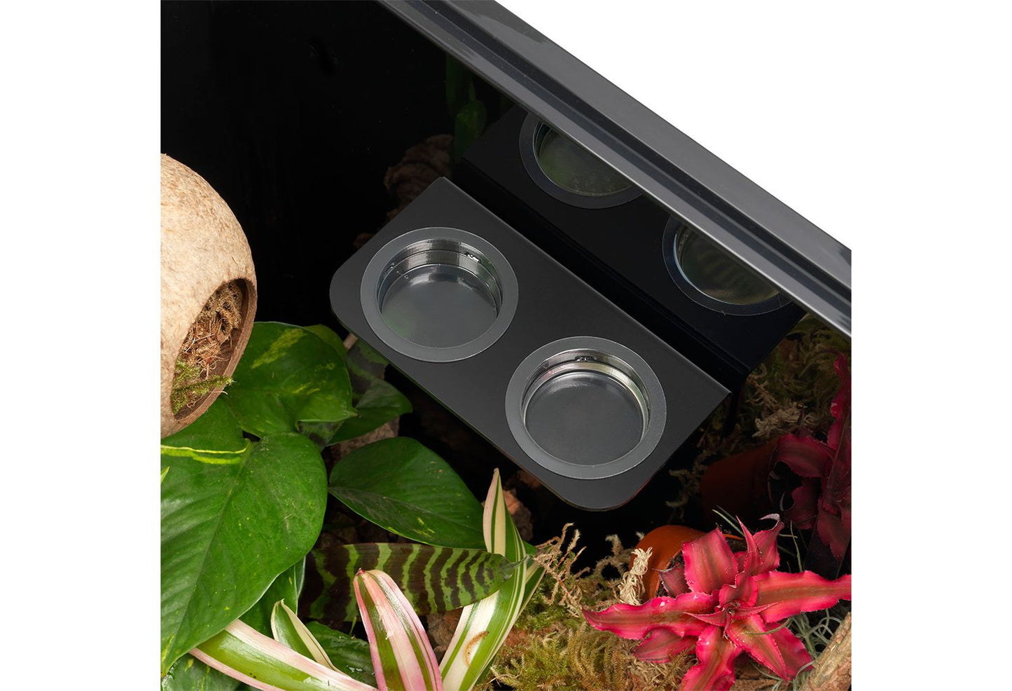  HabiStat Arboreal Feeding Ledge Double