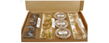  Reptile Food Letterbox Packs