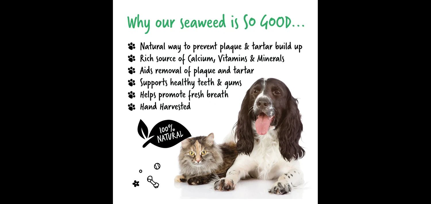  Bugalugs Plaque Remover For Dogs/Cats