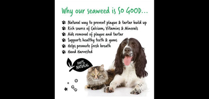  Bugalugs Plaque Remover For Dogs/Cats