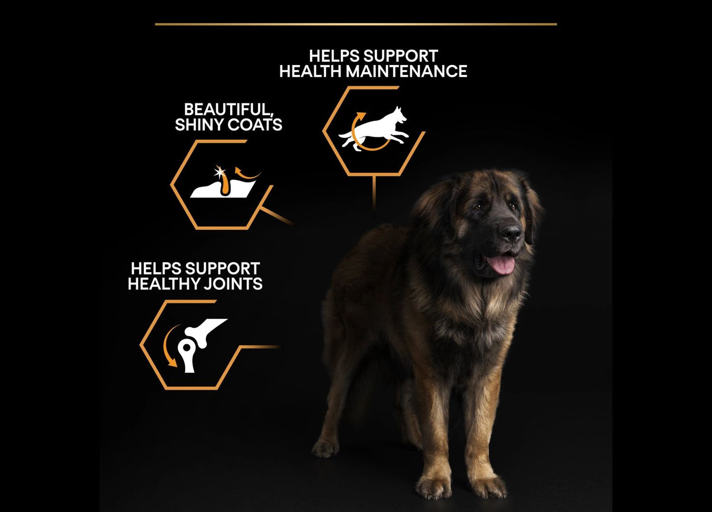  Purina Pro Plan Dog Adult Large Breed Robust 14kg