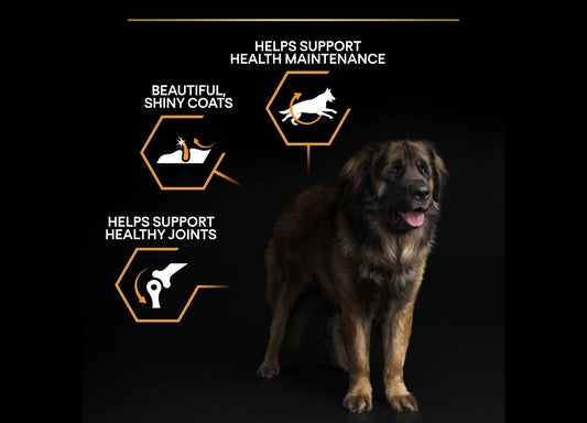  Purina Pro Plan Dog Adult Large Breed Robust 14kg