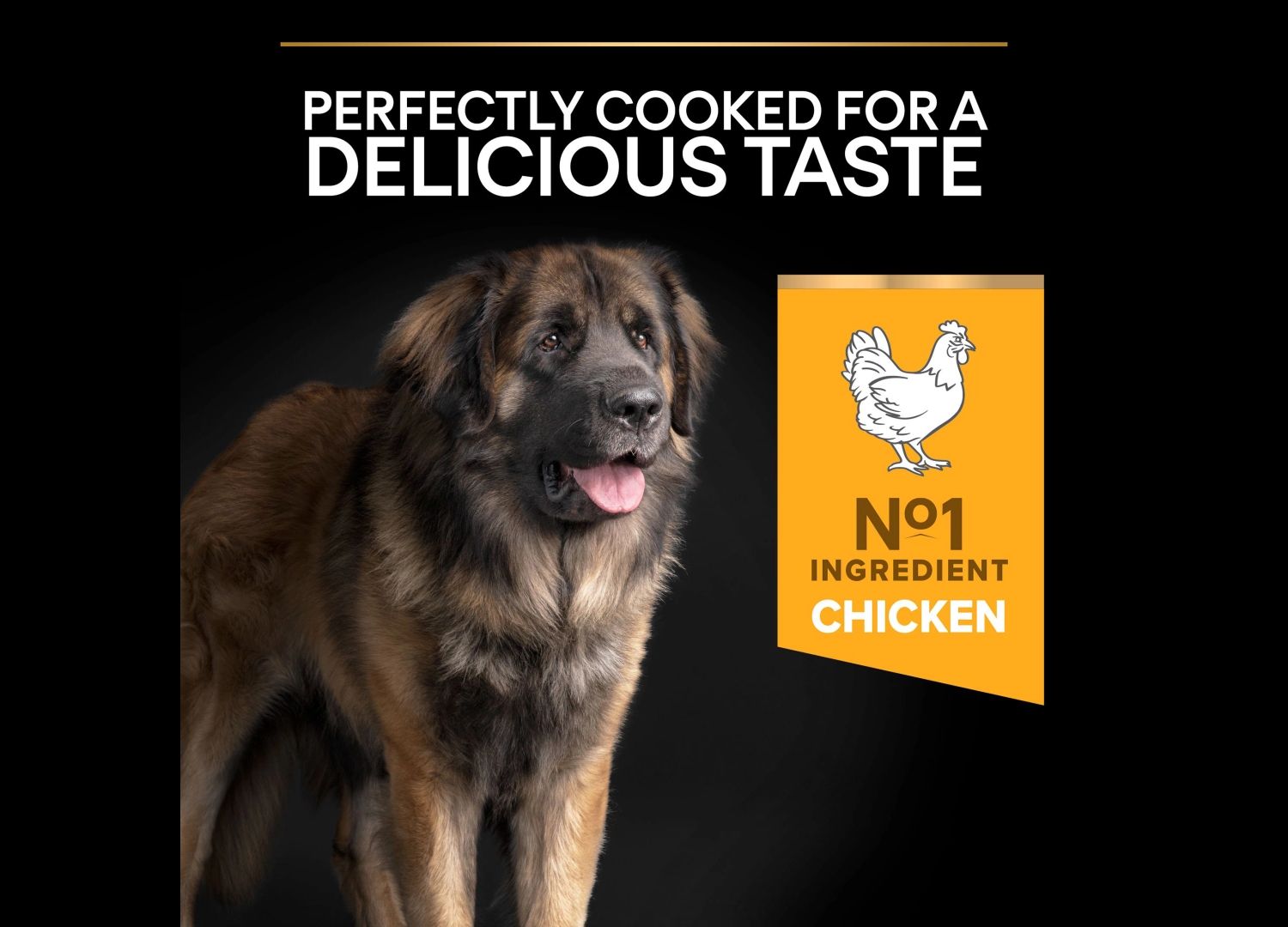  Purina Pro Plan Dog Adult Large Breed Robust 14kg