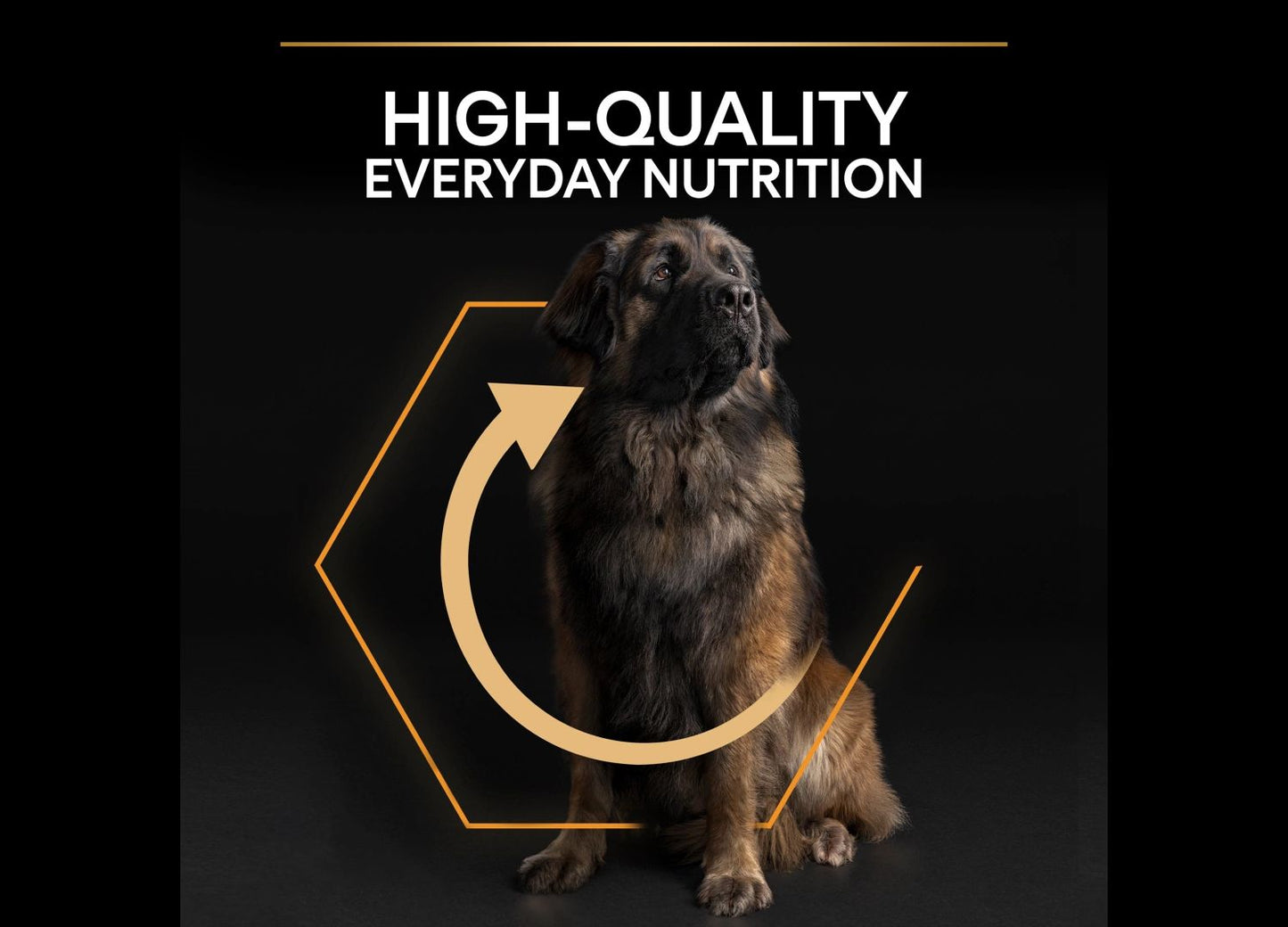  Purina Pro Plan Dog Adult Large Breed Robust 14kg