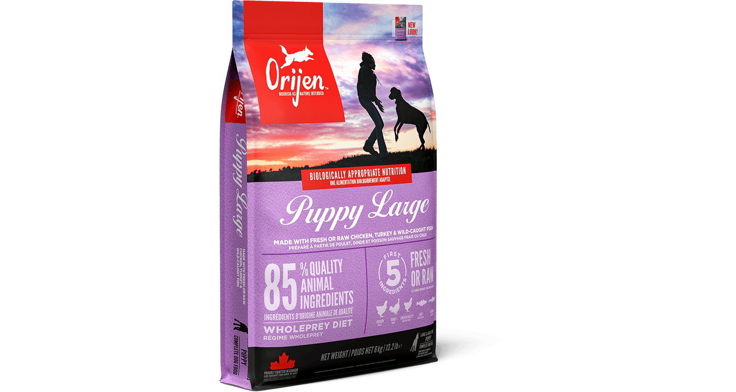 Orijen Puppy Complete Dry Large Breed Dry Food