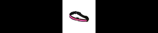  Rosewood Premium Pink Flashing Dog Collar