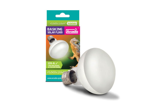  Arcadia Solar Basking Floodlight