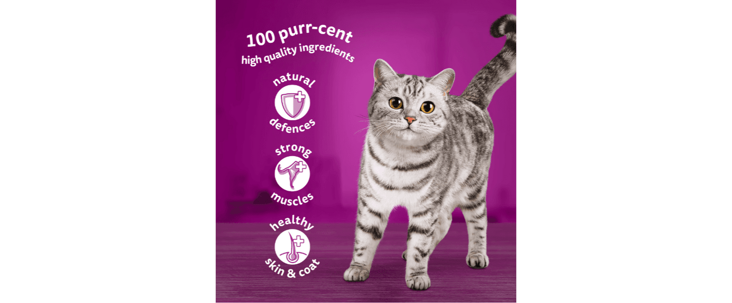  40 X Whiskas 1+ Adult Pouches Mixed Menu In Jelly Wet Cat Food 85g