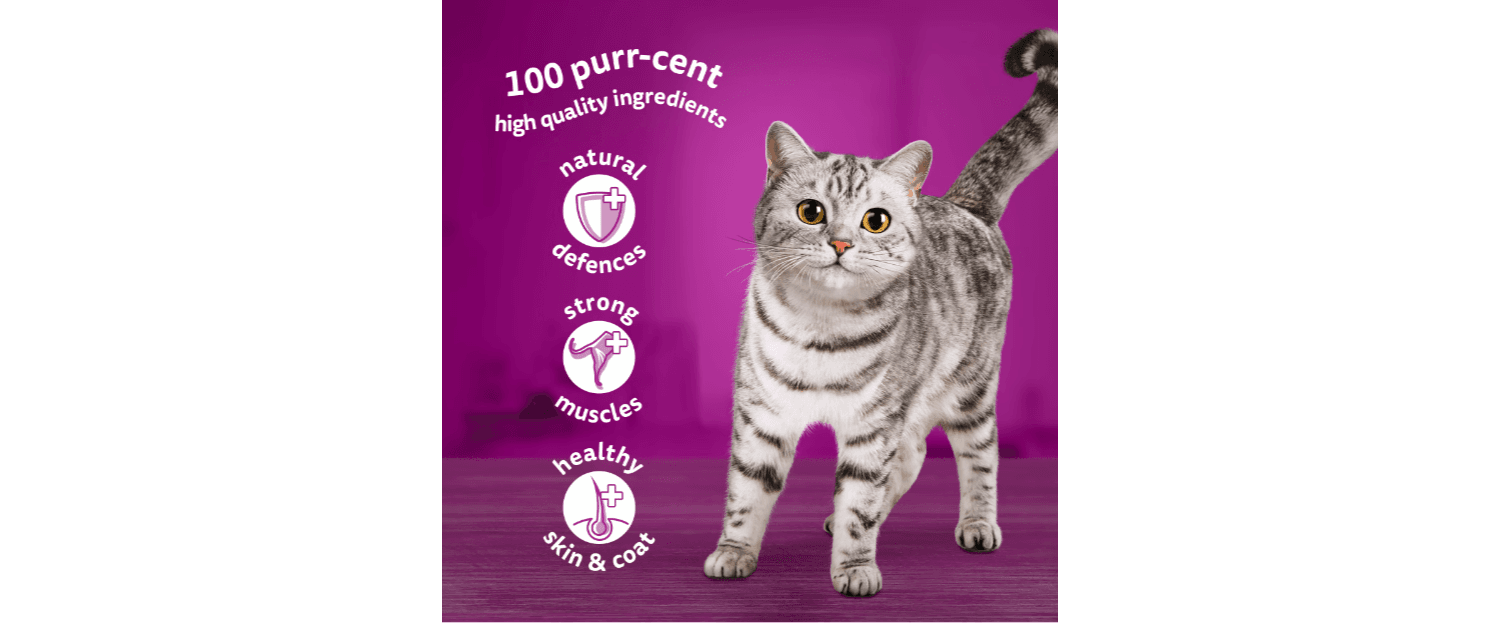  40 X Whiskas 1+ Adult Pouches Mixed Menu In Jelly Wet Cat Food 85g