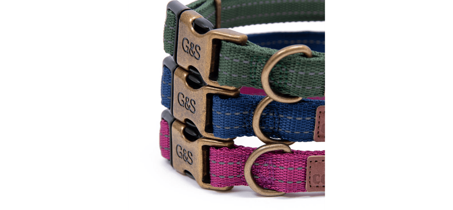  Great&Small Orchid Pink Country Collar