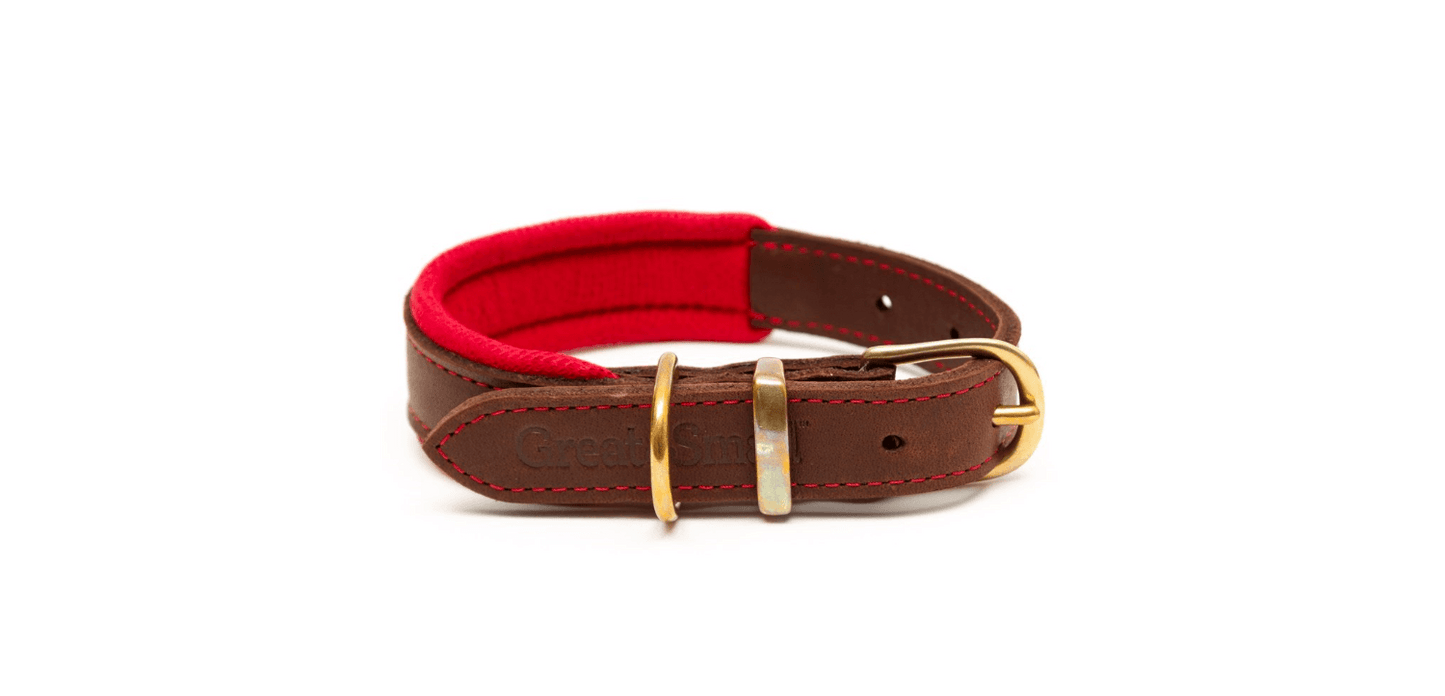  Great&Small Hawkhurst Leather Padded Dog Collar In Red