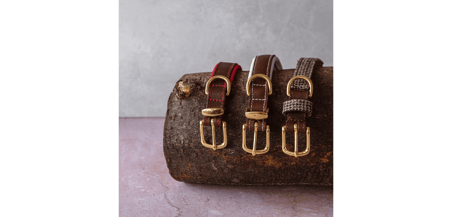  Great&Small Hawkhurst Leather Padded Dog Collar In Red