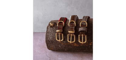  Great&Small Hawkhurst Leather Padded Dog Collar In Red