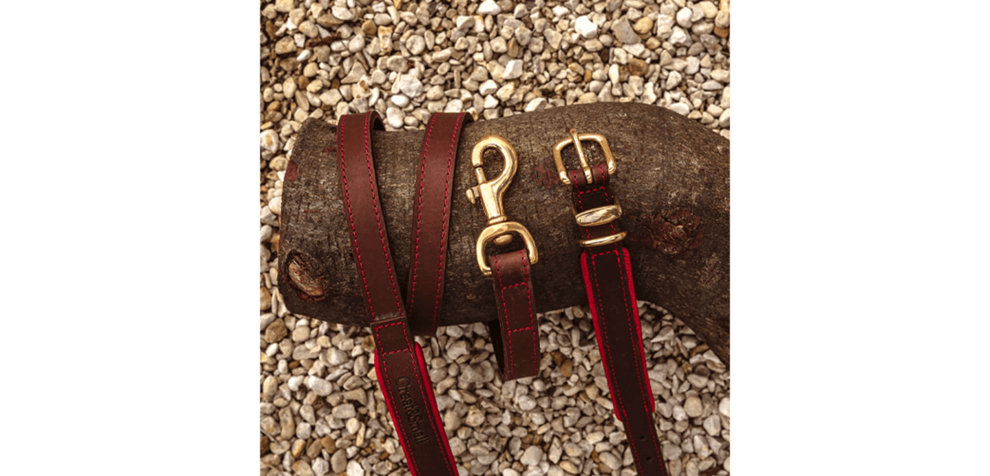  Great&Small Hawkhurst Leather Padded Dog Collar In Red