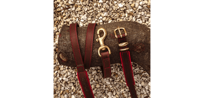  Great&Small Hawkhurst Leather Padded Dog Collar In Red