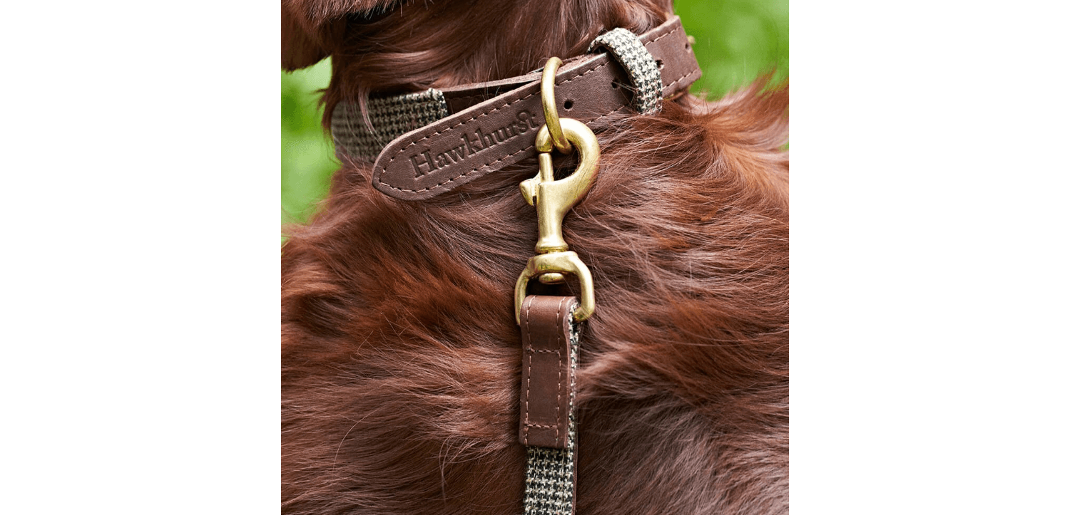  Great&Small Hawkhurst Leather Padded Dog Collar In Red