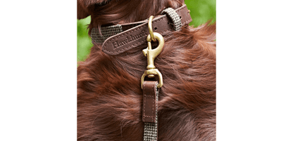  Great&Small Hawkhurst Leather Padded Dog Collar In Red