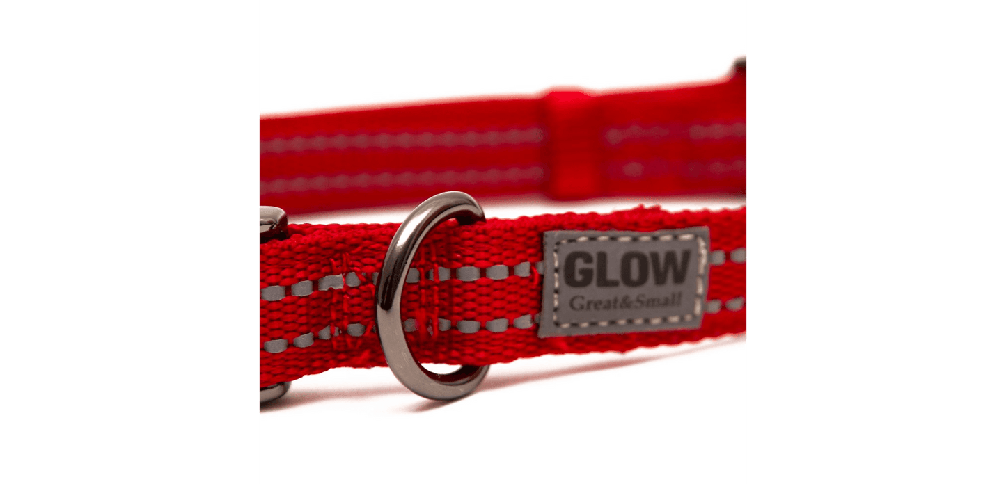  Great&Small Glow Reflective Red Dog Collar