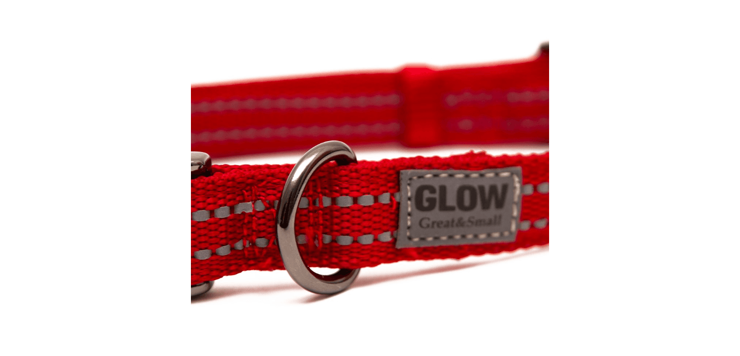  Great&Small Glow Reflective Red Dog Collar