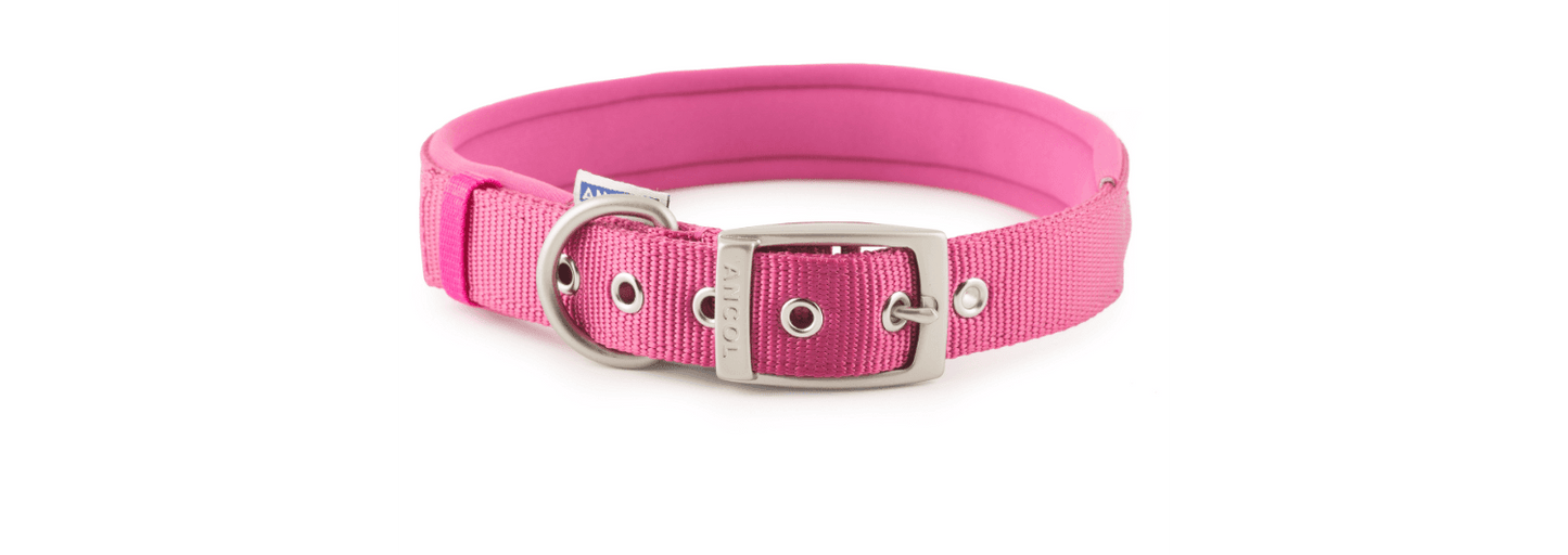  Ancol Viva Nylon Padded Pink Dog Collar