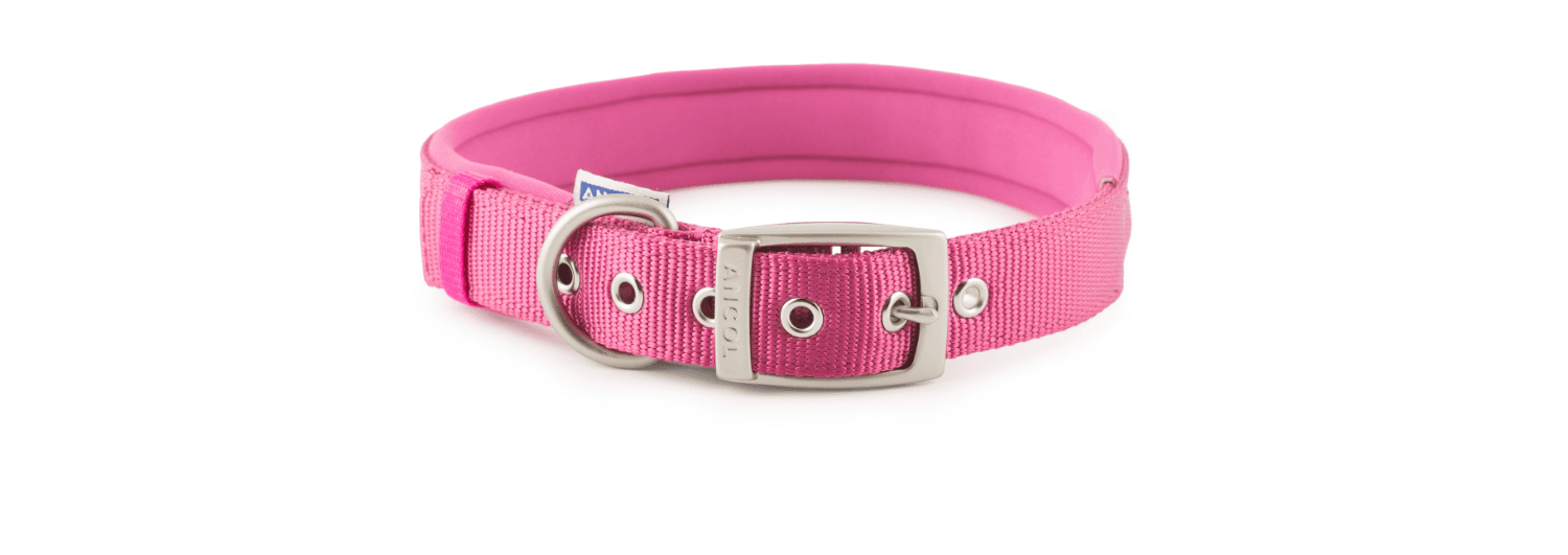  Ancol Viva Nylon Padded Pink Dog Collar