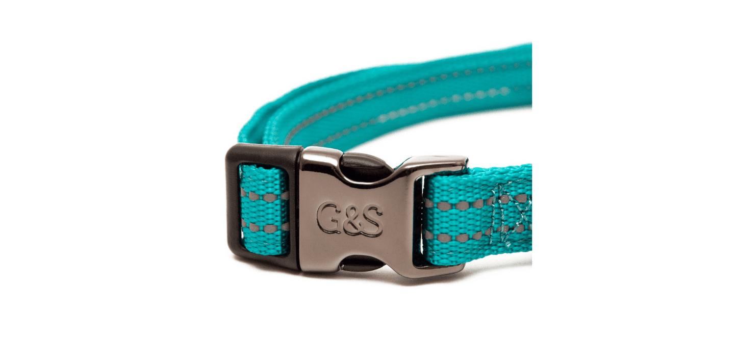  Great&Small Glow Reflective Collar In Turquoise