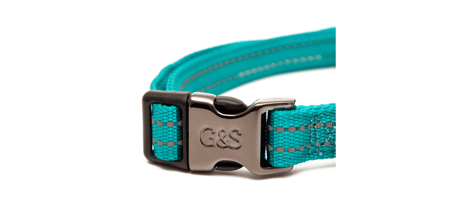  Great&Small Glow Reflective Collar In Turquoise