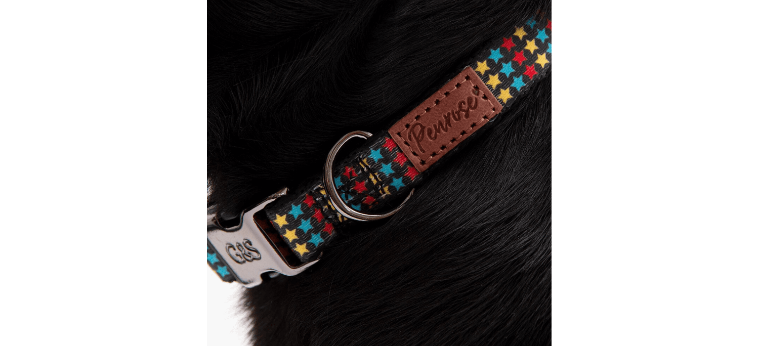  Great&Small Penrose Triple Star Black Collar